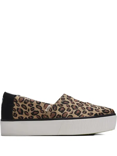 Toms Alpargata Boardwalk "animal Print" Sneakers In Brown