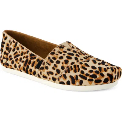 Toms Alpargata Genuine Calf Hair Slip-on In Medium Brown