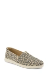 Toms Alpargata Plus Slip-on In Brown