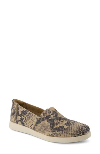 Toms Alpargata Plus Slip-on In Brown