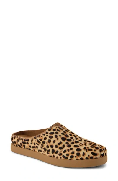 Toms Alpeas Faux Fur Lined Leather Slip-on Shoe In Medium Brown