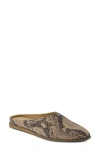 Toms Amelia Flat Mule In Multi