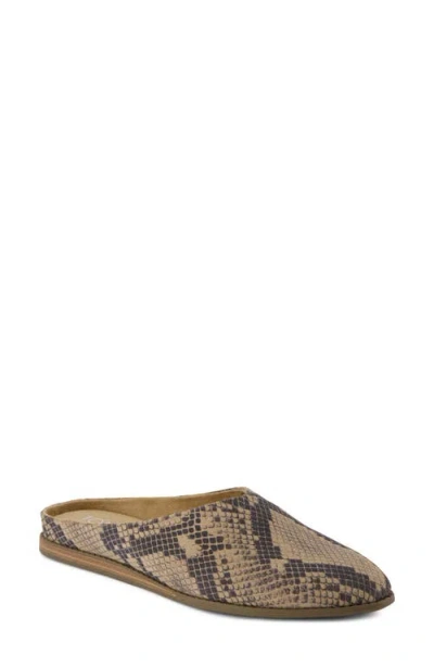 Toms Amelia Flat Mule In Multi