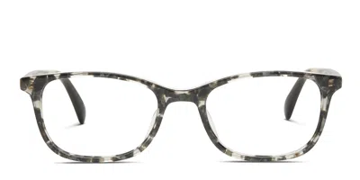 Toms Anna Tortoise,gray