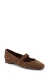 Toms Bianca Mary Jane Flat In Dark Brown Suede