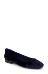 Toms Briella Ballet Flat In Blue
