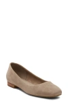 Toms Briella Ballet Flat In Taupe