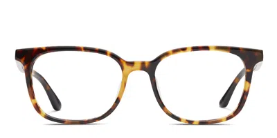 Toms Butler Tortoise