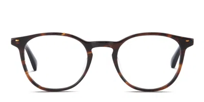 Toms Cameron Brown,tortoise