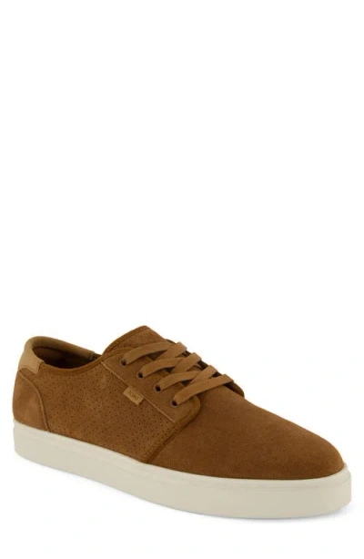 Toms Carlo 2.0 Perforated Sneaker In Multi