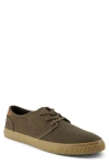 Toms Carlo Sneaker In Dark Green