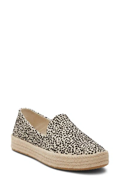 Toms Carolina Platform Espadrille Sneaker In Mini Chetah