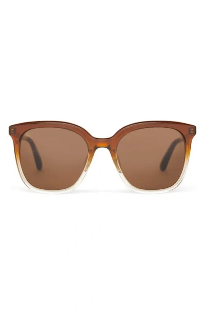 Toms Charmaine 54mm Square Sunglasses In Cappuccino Champange Fade