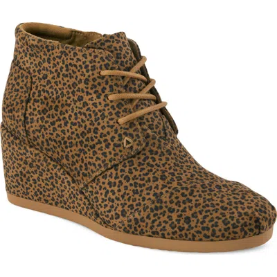 Toms Desert Lace-up Wedge Bootie In Brown
