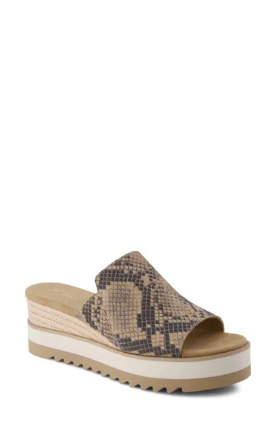 Toms Diana Mule Sandal In Brown