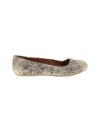 Pre-owned Toms Flats In Brown