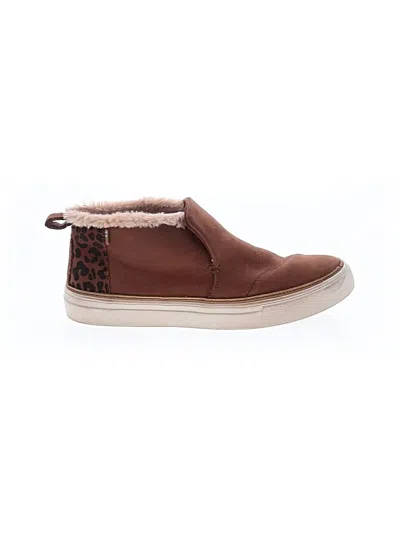 Pre-owned Toms Flats In Brown
