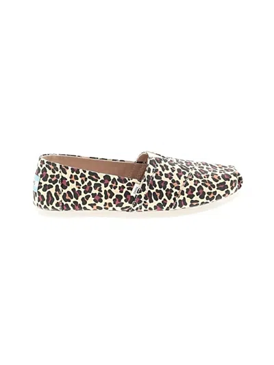 Pre-owned Toms Flats In Brown