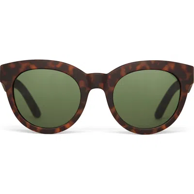 Toms Florentin 52mm Cat Eye Sunglasses In Matte Blonde Tortoise