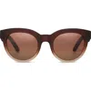 Toms Florentin 52mm Cat Eye Sunglasses In Matte Brown