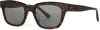 Toms Holland Sunglasses In Dark Tortoise/grey In Brown