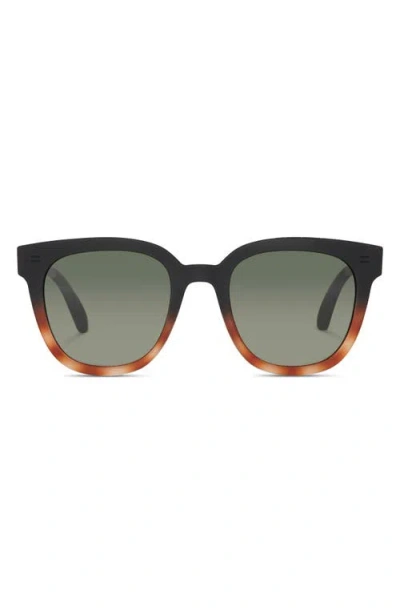 Toms Juniper 54mm Round Sunglasses In Matte Black Honey Tortoise