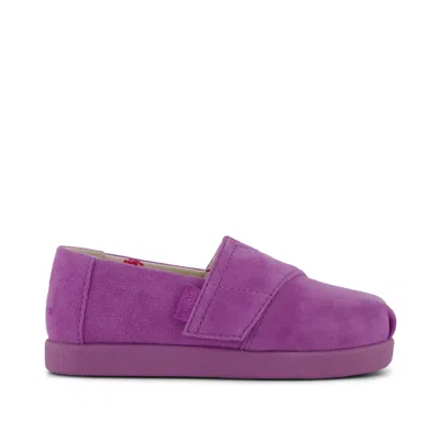 Toms Babies' Kid's  X Jamie Mizrahi Alpargata Classic Suede Toddler Shoe In Animal Print