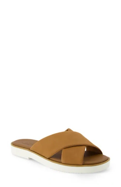Toms Mae Crisscross Slide Sandal In Brown