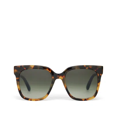 Toms Natasha Blonde Tortoise Handcrafted Sunglasses In Brown