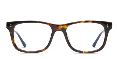 Toms Penn Tortoise