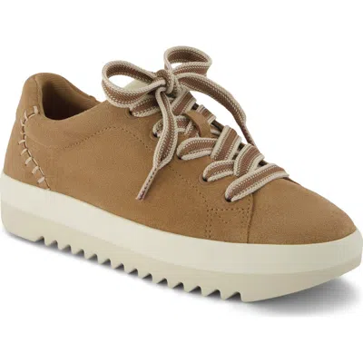 Toms Rea Platform Sneaker In Brown