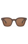 Toms Rome 49mm Square Sunglasses In Cacao Crystal/solid Brown