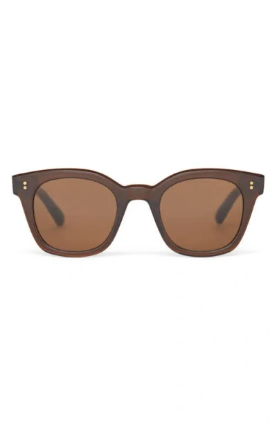 Toms Rome 49mm Square Sunglasses In Cacao Crystal/solid Brown
