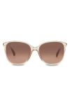 Toms Sandela 55mm Gradient Square Sunglasses In Brown