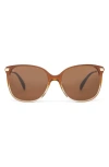 Toms Sandela 55mm Gradient Square Sunglasses In Cappuccino Champange Fade