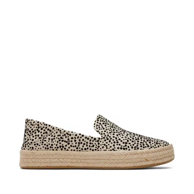 Toms Shoes Carolina Mini Cheetah Espadrille