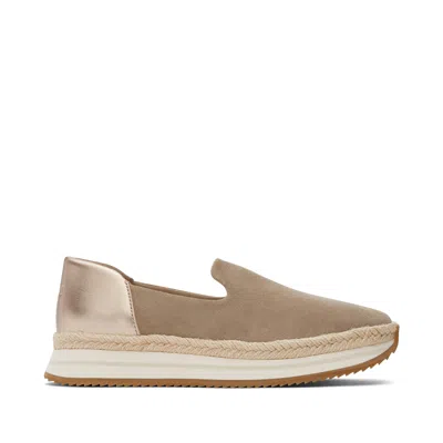 Toms Shoes Jocelyn Taupe Metallic Suede Espadrille Sneaker In Multi