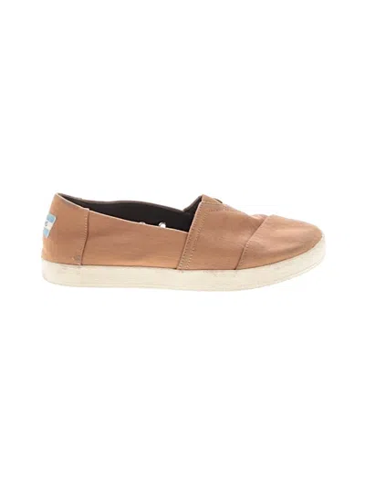 Pre-owned Toms Sneakers In Brown