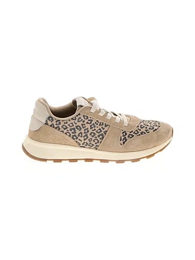 Pre-owned Toms Sneakers In Tan