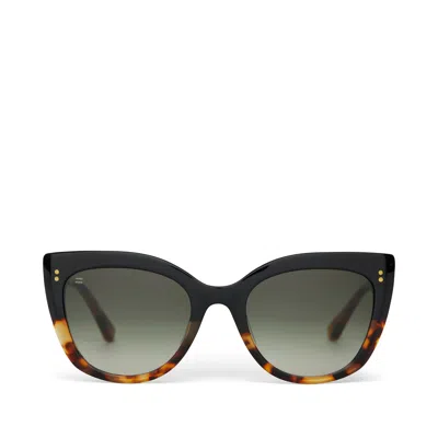 Toms Sophia Black Tortoise Fade Handcrafted Sunglasses In Multi