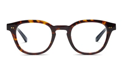 Toms Weston Tortoise