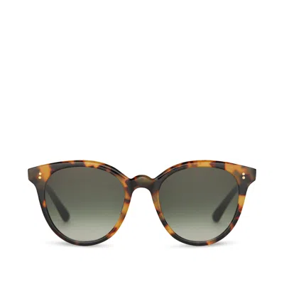 Toms Women's Aaryn Blonde Tortoise Handcrafted Sunglasses In Brown