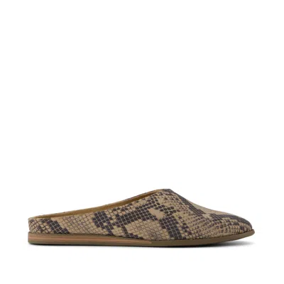 Toms Women's Amelia Mule Taupe Snake Print Suede Flat In Animal Print