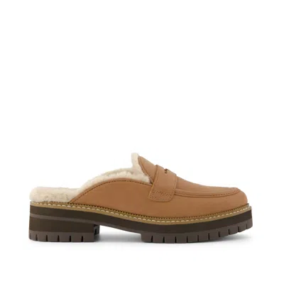 Toms Women's Cara Mule Faux Fur Leather Flat In Brown