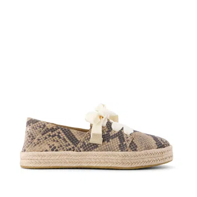 Toms Women's Carolina Lace-up Espadrille Taupe Snake Print Suede