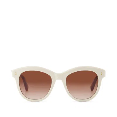 Toms Women's Gwyneth Honey Tortoise Handcrafted Sunglasses In Brown