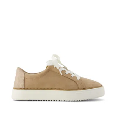 Toms Women's Izzy Lace-up Sneaker Taupe Premium Microfiber Suede In Brown