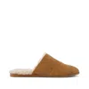 Toms Jade Mule In Brown
