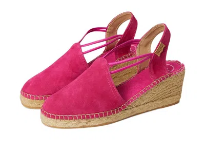 Toni Pons Tremp In Pink