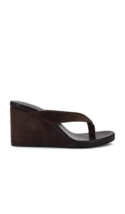 Tony Bianco Avanti Wedge Thong Sandals Espresso Suede In Brown
